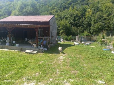 Cabană cu teren generos