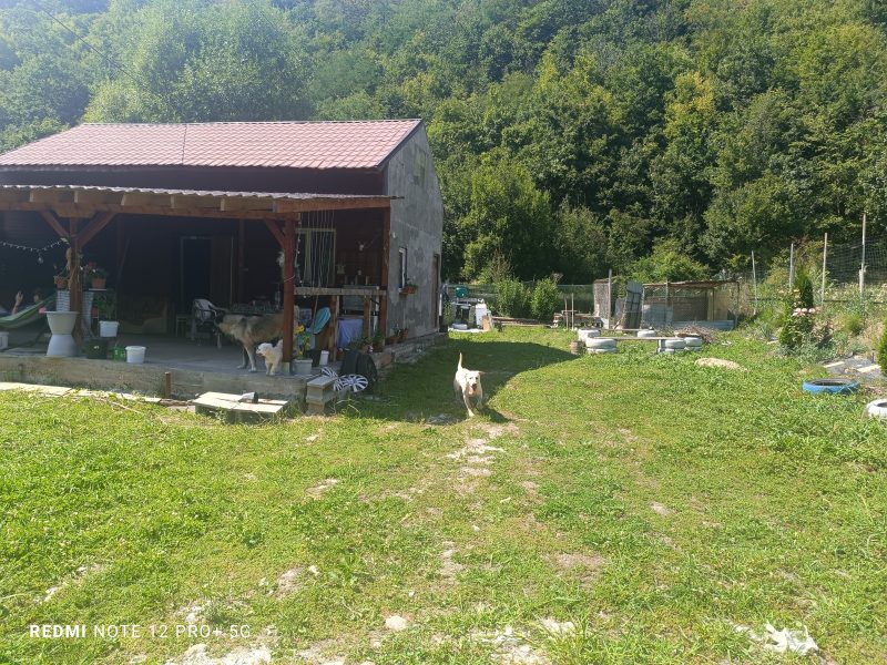 Cabană cu teren generos